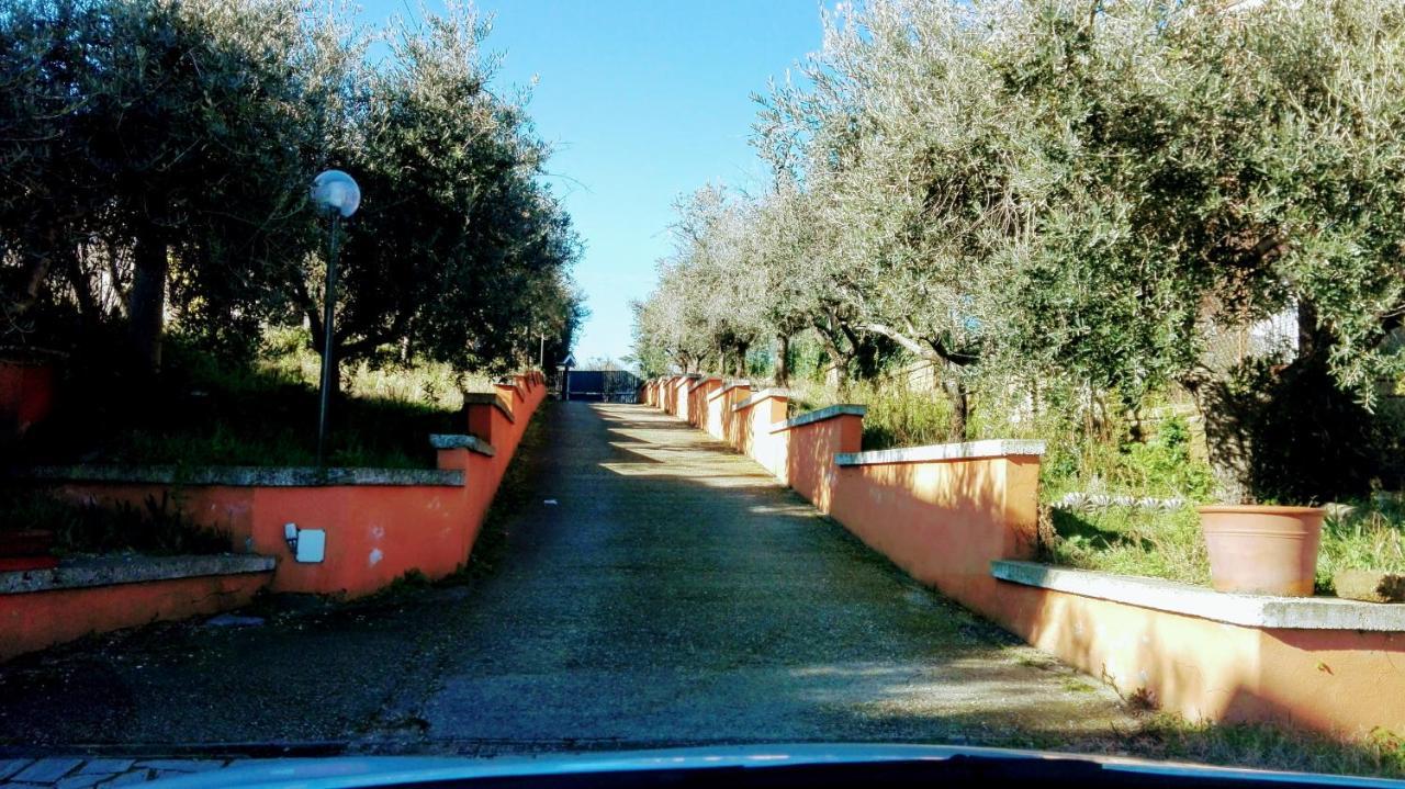 Locazione Turistica Dream House Marzia Villa Rom Exteriör bild